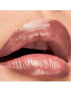 Rouge à lèvres Elizabeth Arden Lip Color Nº 27 Notably nude 4 g 2