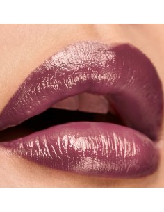 Rouge à lèvres Elizabeth Arden Lip Color Nº 10 Drmy mauv 4 g 2
