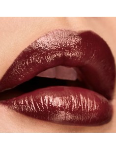 Rouge à lèvres Elizabeth Arden Lip Color Nº 17 Chry glze 4 g 2