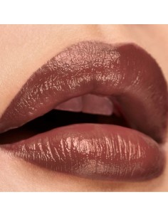 Rouge à lèvres Elizabeth Arden Lip Color Nº 05 Ambtous mauve matte 4 g 2