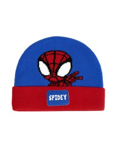 Chapeau Spidey