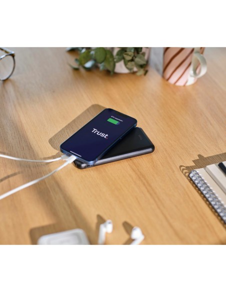 Powerbank Trust 24879