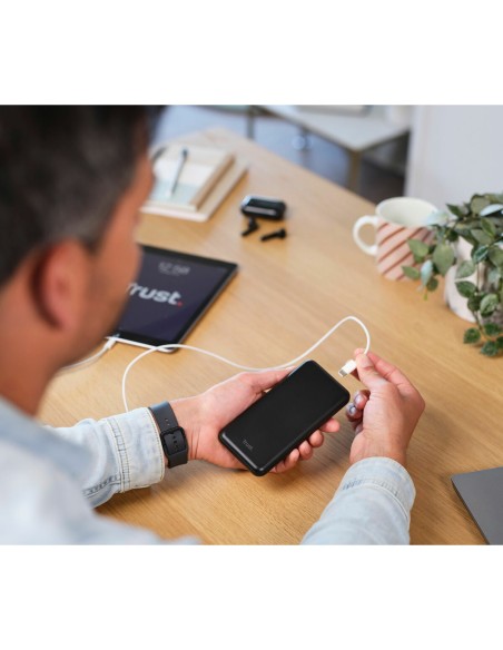 Powerbank Trust 24879