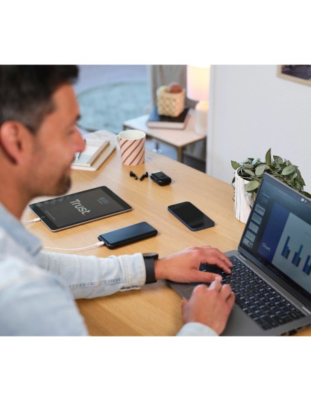 Powerbank Trust 24879
