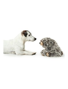 Jouet pour chien Hunter Faro Gris Ours 2