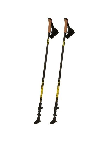 Bâton Trekking Aktive 4,5 x 135 x 3 cm (2 Unités)