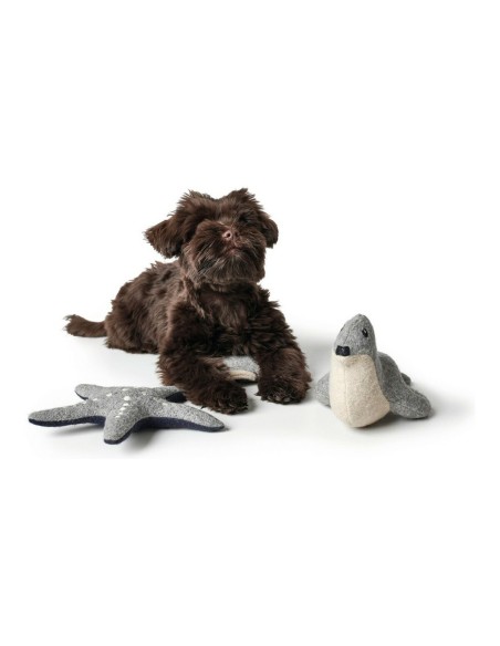 Jouet pour chien Hunter Skagen Bleu foncé Étoile de mer