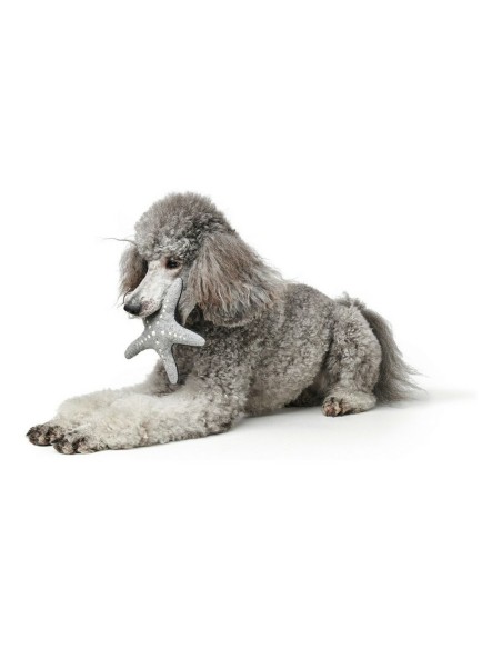 Jouet pour chien Hunter Skagen Bleu foncé Étoile de mer