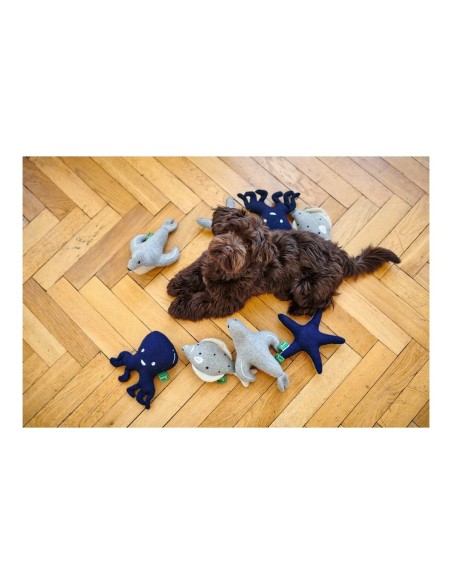 Jouet pour chien Hunter Skagen Bleu foncé Étoile de mer