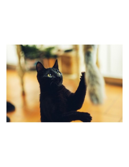 Canne à chat Gloria Niemeyeer Bois Jouet Peluche Ver