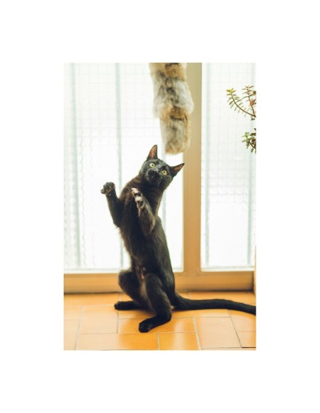 Jouet pour chats Gloria Gehry Coussin (40 x 11 cm)