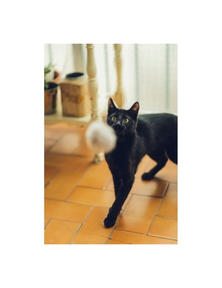 Canne à chat Gloria Gaudí Bois Pompon (6 cm)