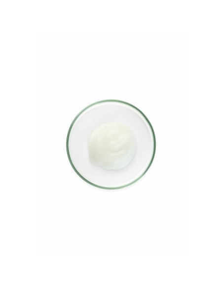Crème de jour Sensilis PURE AGE PERFECTION 50 ml