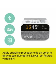Radio-réveil Pure PURE MOMENT 2