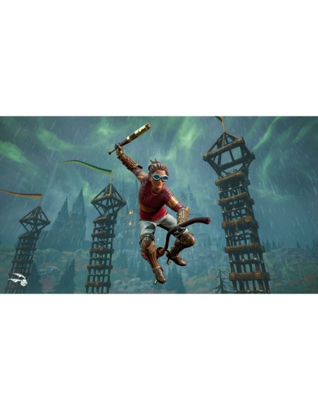 Jeu vidéo PlayStation 5 Sony HARRY POTTER CAMPEONES DE QUIDDITCH