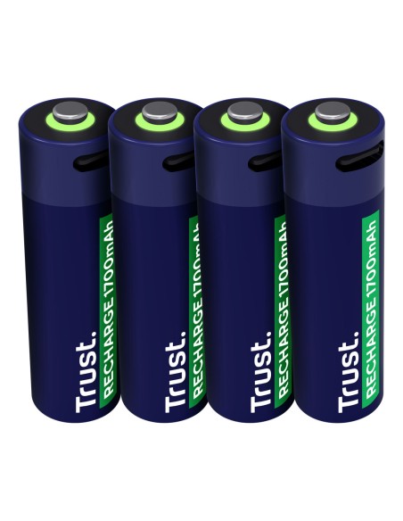 Batteries Trust 25631