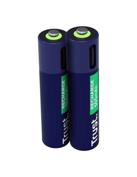 Batteries Trust 25585