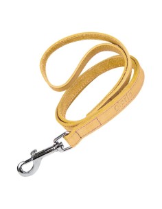 Laisse pour Chien Gloria Oasis 1.5 x 100 cm Jaune