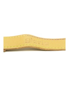 Laisse pour Chien Gloria Oasis 1.5 x 100 cm Jaune 2