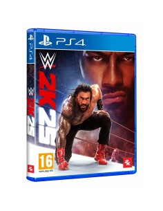 Jeu vidéo PlayStation 4 Sony WWE 2K25