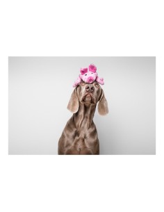 Jouet pour chien Gloria Dogmonsters Rose Cochon 34 x 9 cm 2