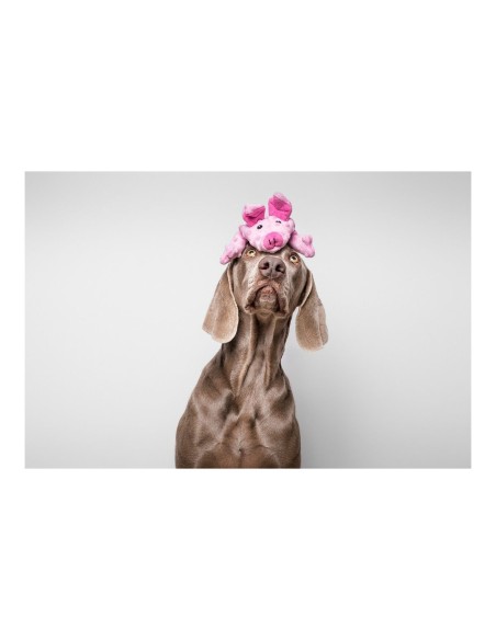 Jouet pour chien Gloria Dogmonsters Rose Cochon 34 x 9 cm