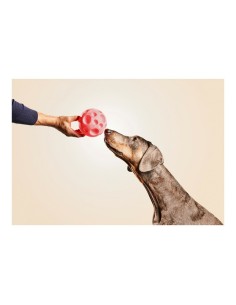 Jouet pour chien Gloria Distributeur Confiseries Caoutchouc (12 cm) 2