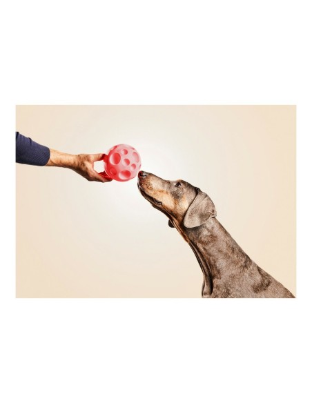 Jouet pour chien Gloria Distributeur Confiseries Caoutchouc (12 cm)