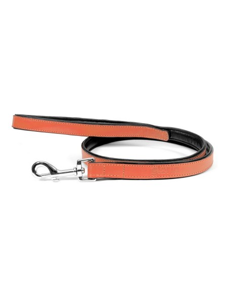 Laisse pour Chien Gloria 1.8 x 100 cm Corail