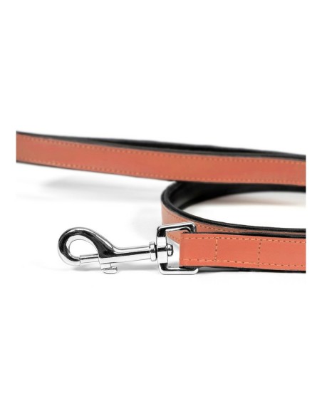 Laisse pour Chien Gloria 1.8 x 100 cm Corail