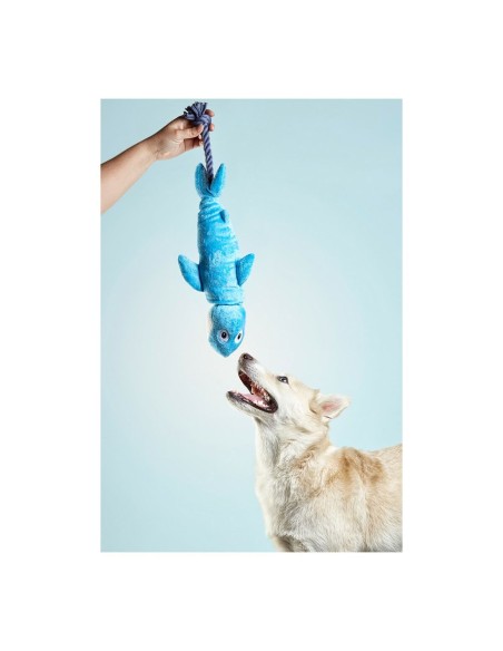 Jouet pour chien Gloria Clint Requin