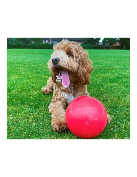 Jouet pour chien Company of Animals Boomer Bleu (250mm)