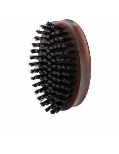Brosse Lussoni   Oblongue Barbe