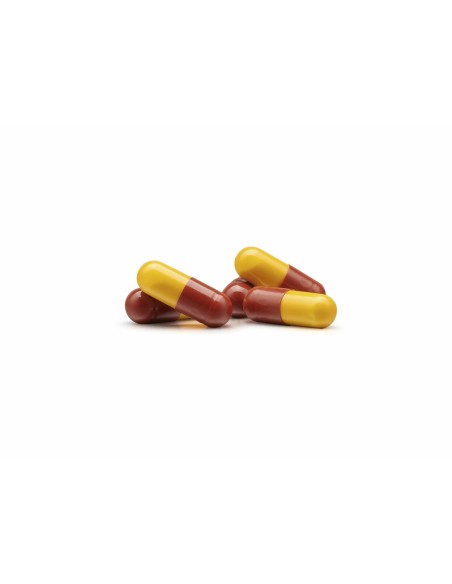 Multi-vitamines Inmunoferon Inmunoferon 90 Unités