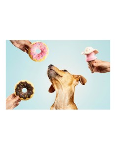 Jouet pour chien Gloria Gloicecream 9 x 9 x 17 cm Glace 2