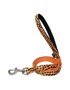 Laisse pour Chien Gloria 1.5 x 120 cm Orange