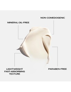 Crème visage Shiseido Essential Energy 50 ml