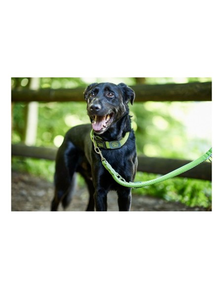 Laisse pour Chien Hunter HILO Citron (200 cm)