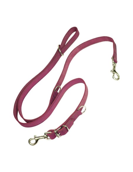Laisse pour Chien Gloria Oasis Multiple 2.1 x 200 cm Rose