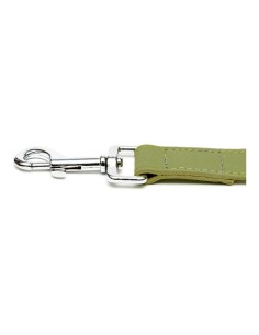 Laisse pour Chien Gloria Oasis 3 x 60 cm Vert 2