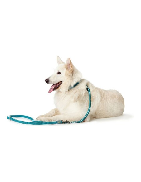 Laisse pour Chien Hunter HILO Turquoise 200 cm