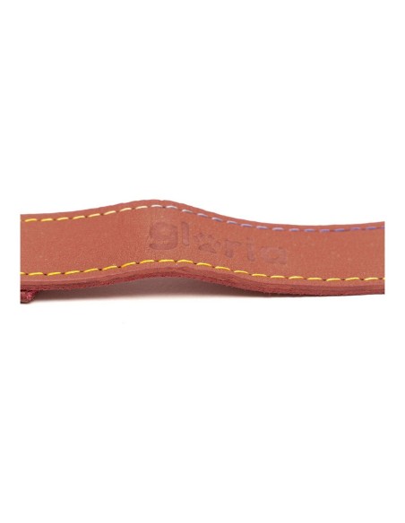 Laisse pour Chien Gloria Oasis 3 x 60 cm Rouge