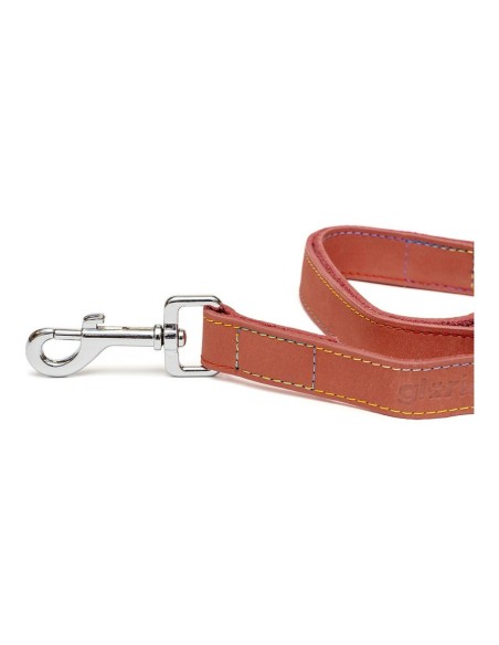 Laisse pour Chien Gloria Oasis 3 x 60 cm Rouge