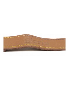 Laisse pour Chien Gloria Oasis 2.1 x 100 cm Marron 2