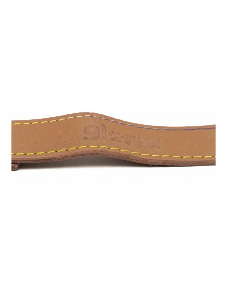 Laisse pour Chien Gloria Oasis 2.1 x 100 cm Marron