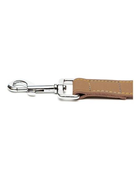 Laisse pour Chien Gloria Oasis 2.1 x 100 cm Marron