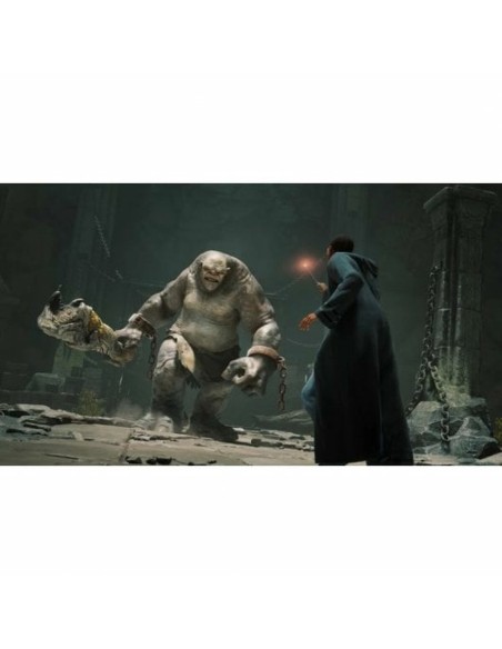 Jeu vidéo pour Switch Nintendo HOGWARTS LEG STD SWITCH (ES)
