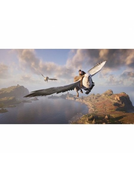 Jeu vidéo pour Switch Nintendo HOGWARTS LEG STD SWITCH (ES)