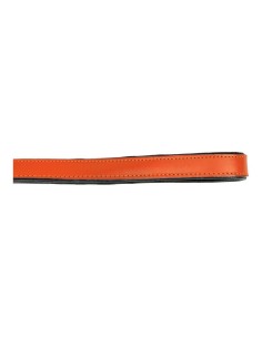 Laisse pour Chien Gloria 1.8 x 100 cm Orange 2