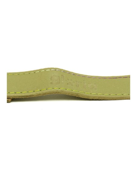 Laisse pour Chien Gloria Oasis 1.5 x 100 cm Vert